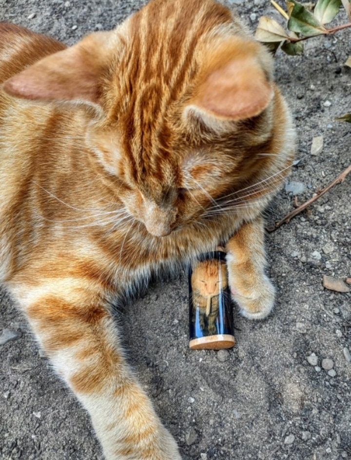 Funny Stoner Cat Smoking Joint Fits Bic Lighters Case Holder Sleeve Cover